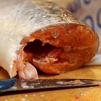 salmone fresco